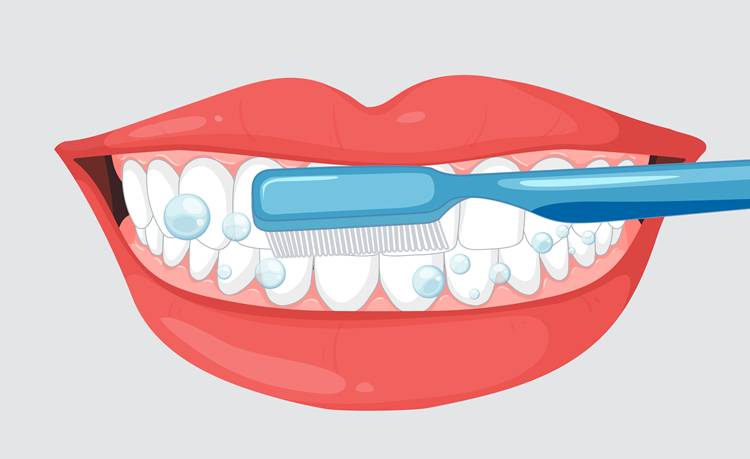 Günde İki Kez Diş Fırçalamanın Olası Zararları Var mı?